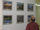 Выставка «Среда обитания» открылась в Самаре
