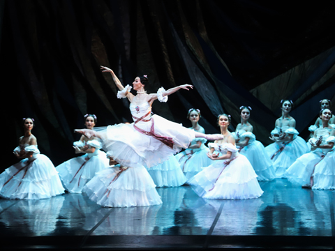 XX Фестиваль классического балета имени Аллы Шелест